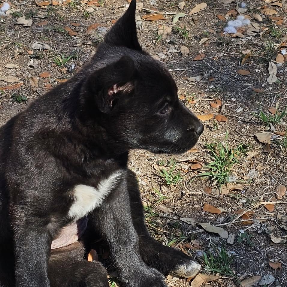 Judy — thumbnail 5