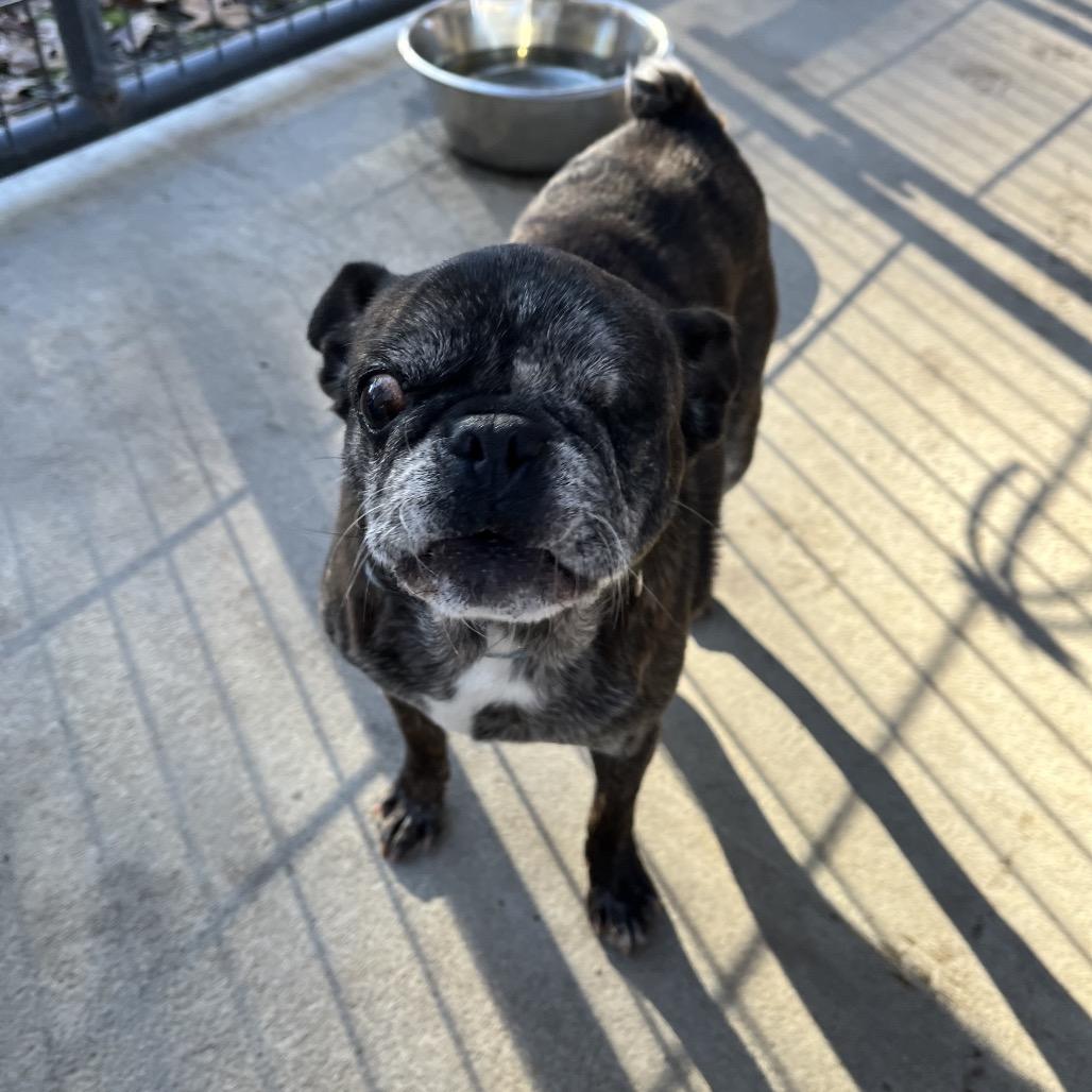 Gertrude thumbnail 2