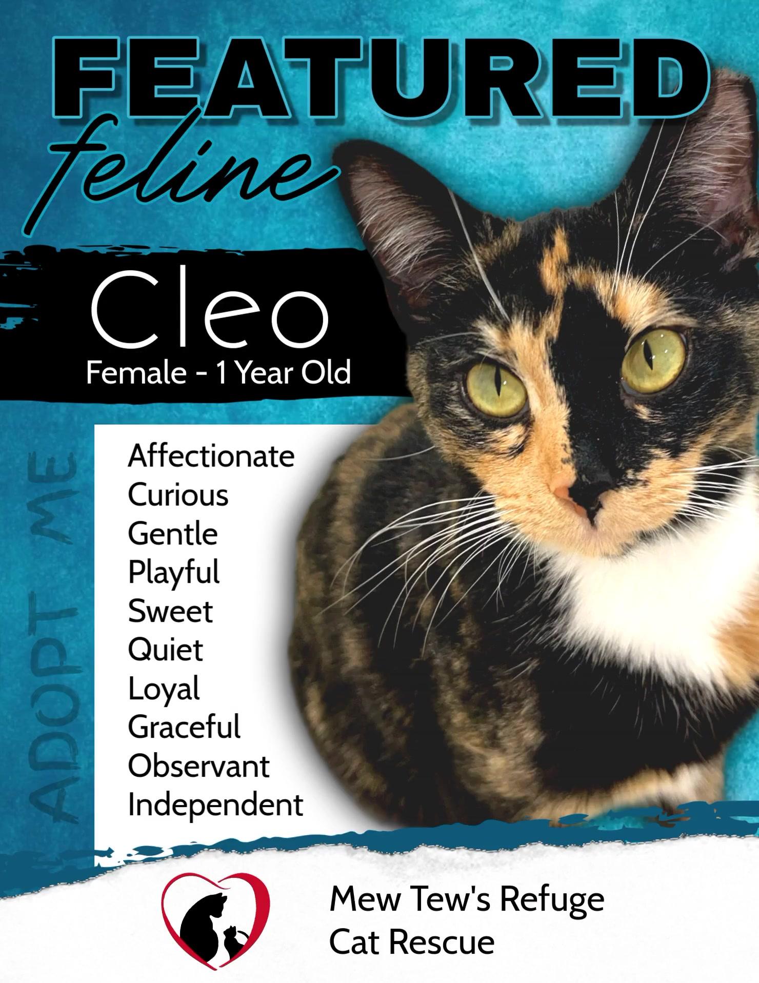 Cleo 3