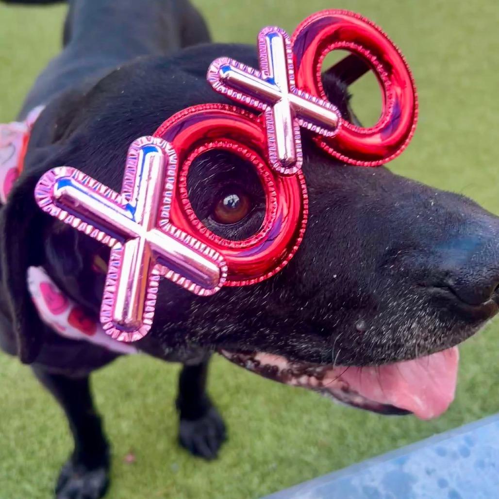 Jingle — thumbnail 3