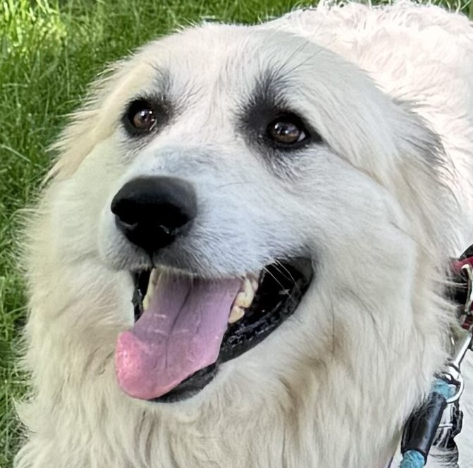 Sweet Pea - Beautiful Inside & Out