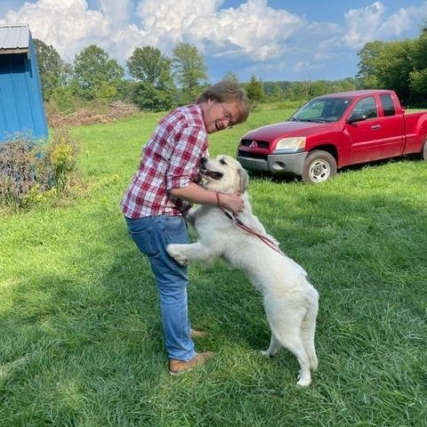 Sweet Pea - Beautiful Inside & Out- Foster Needed, a Adoptable Great Pyrenees in Indianapolis, IN image 5/5