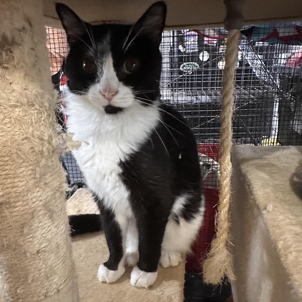 Landon — thumbnail 2