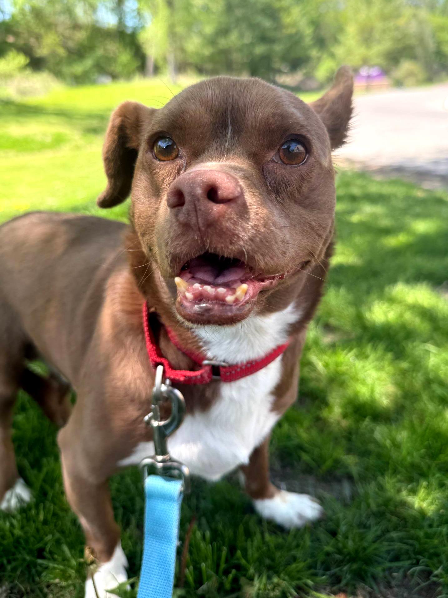 Zeus