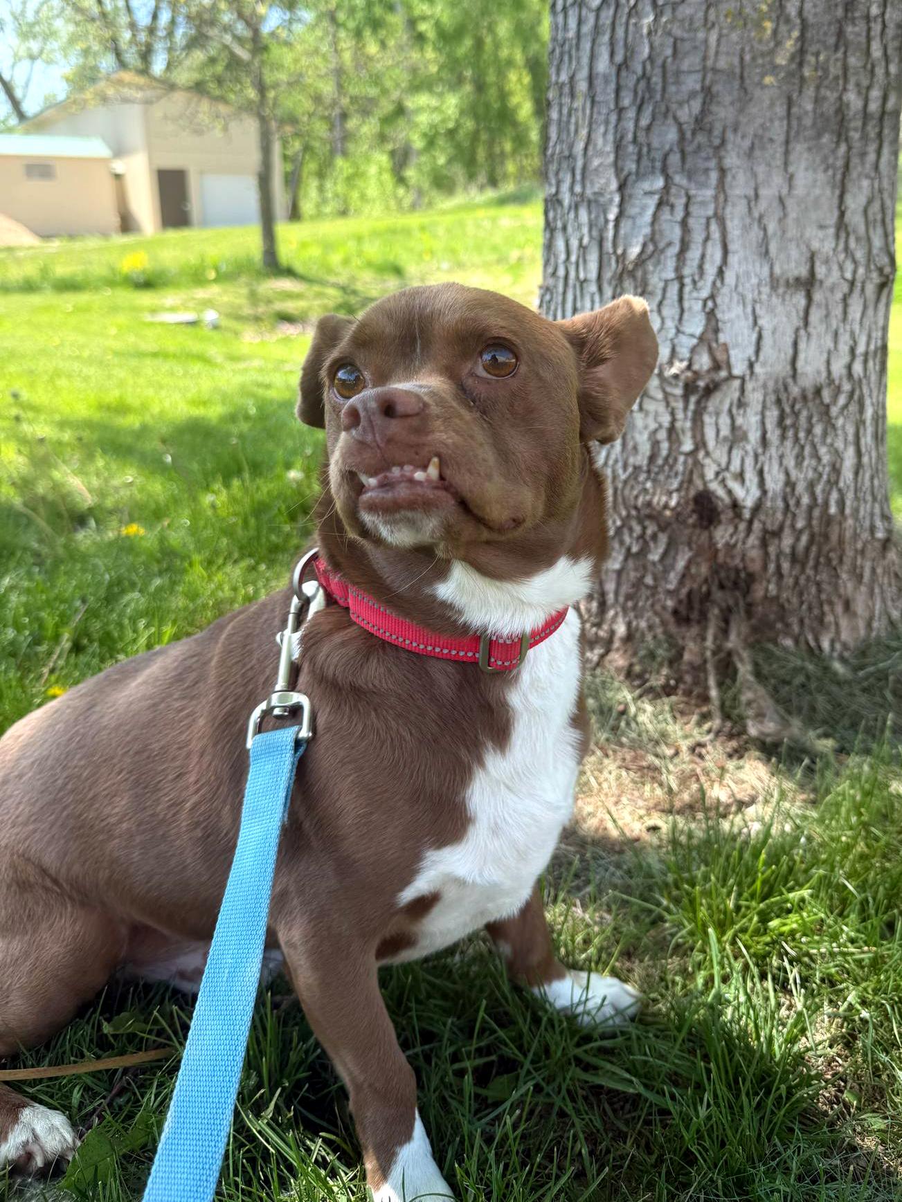 Zeus