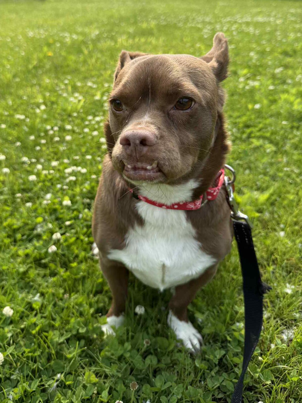 Zeus