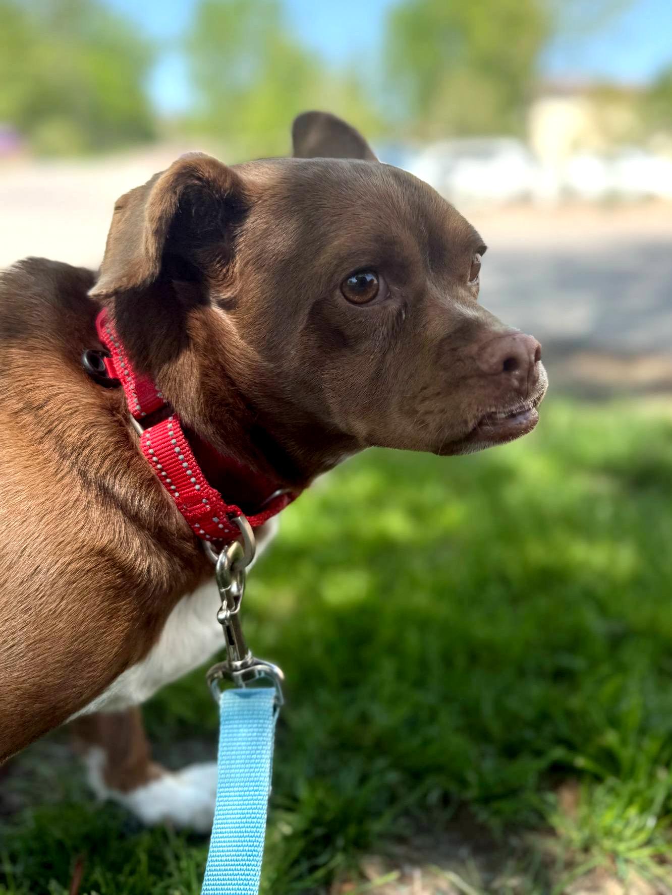Zeus