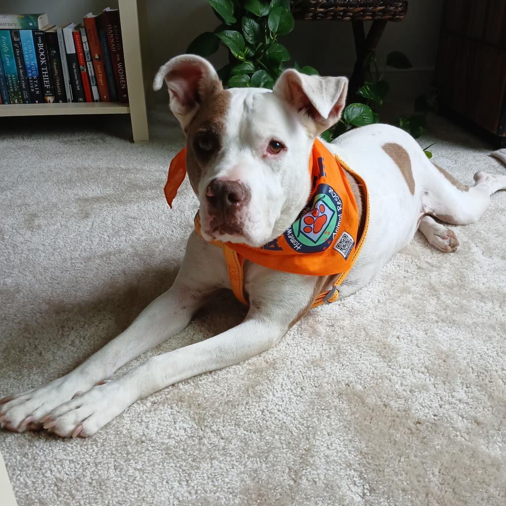 Turin — thumbnail 6