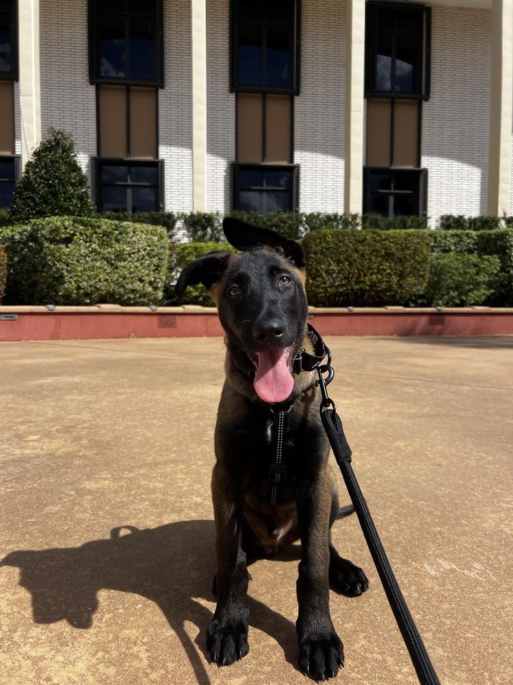 Thorn - Located in FL