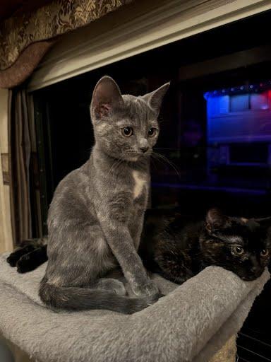 Christie | Bonded With