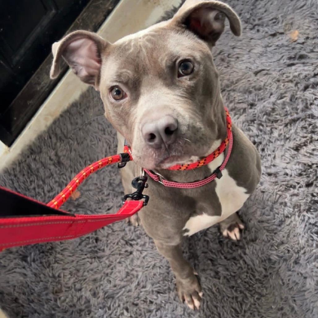 Sabrina Elodie — thumbnail 2