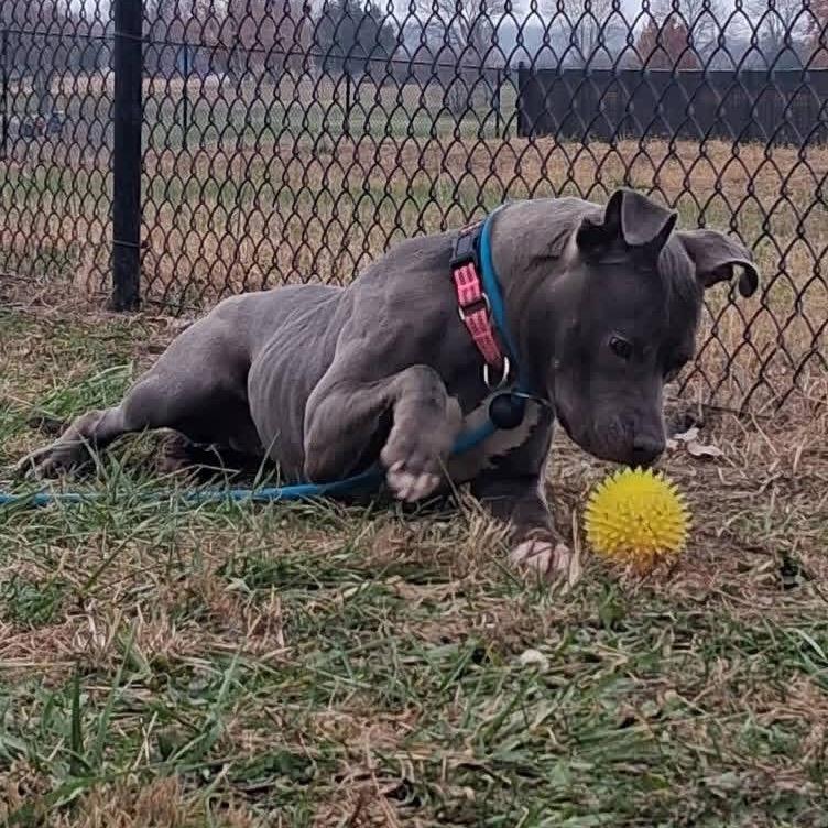 Sabrina Elodie — thumbnail 3