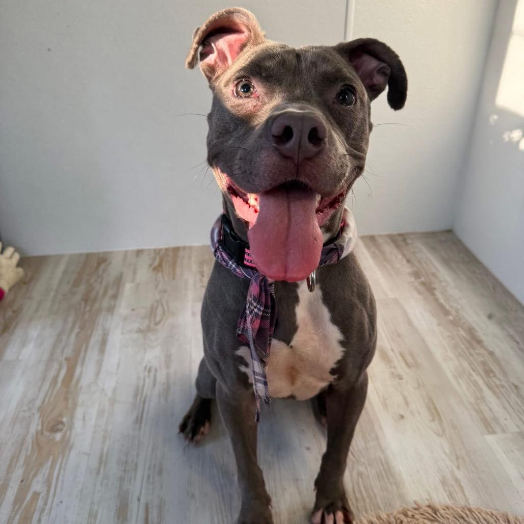 Sabrina Elodie — thumbnail 4