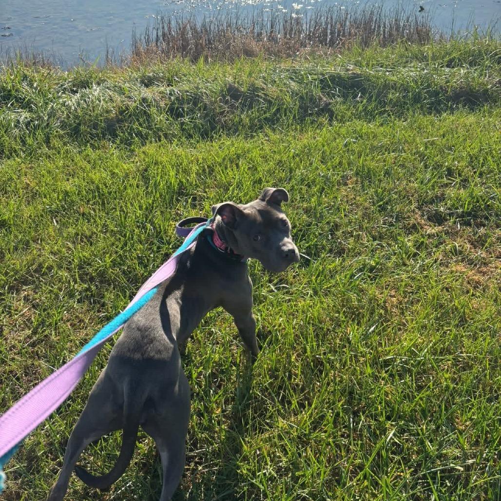 Sabrina Elodie — thumbnail 6