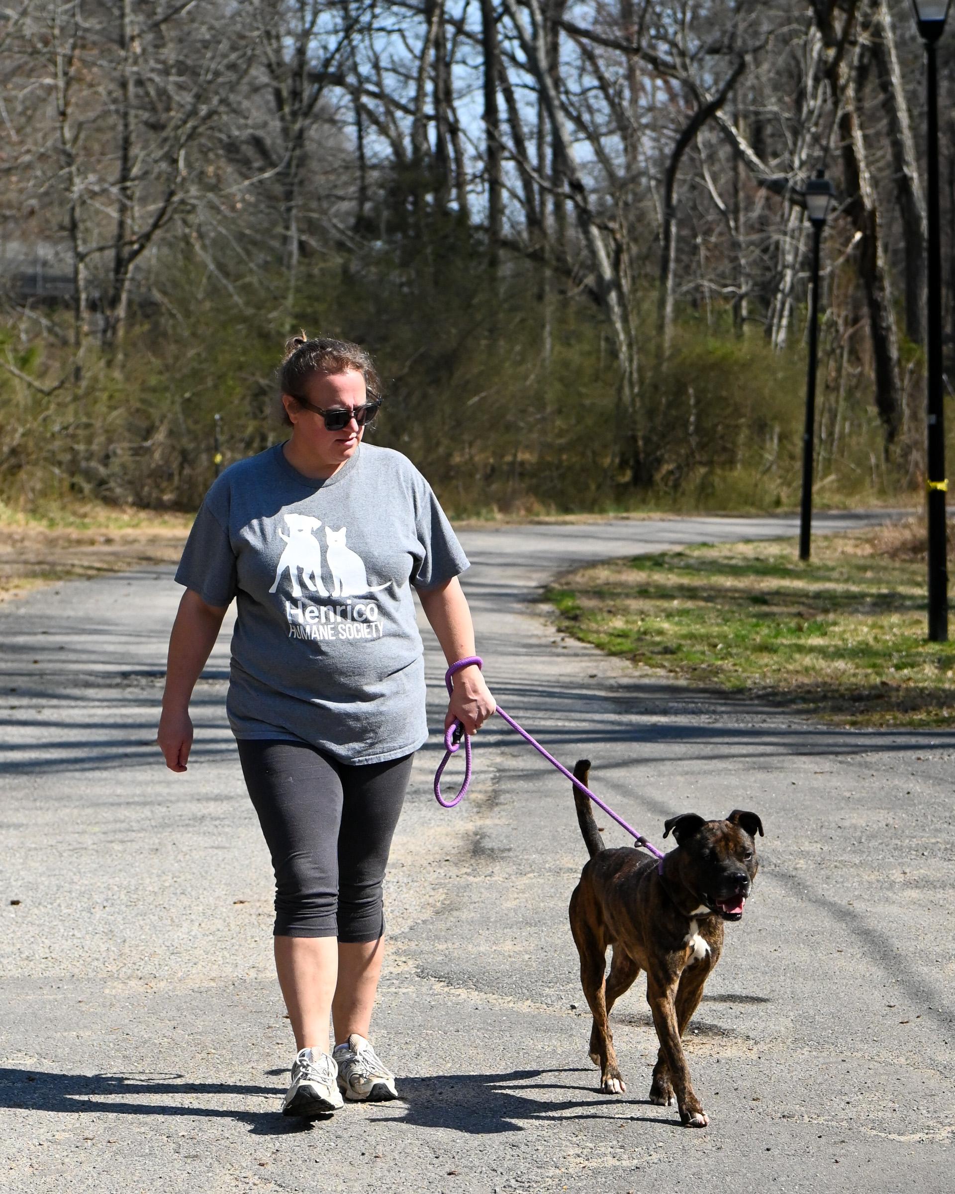 Enlarge Wilson, a Adoptable mixed breed in Petersburg, VA image 4/6