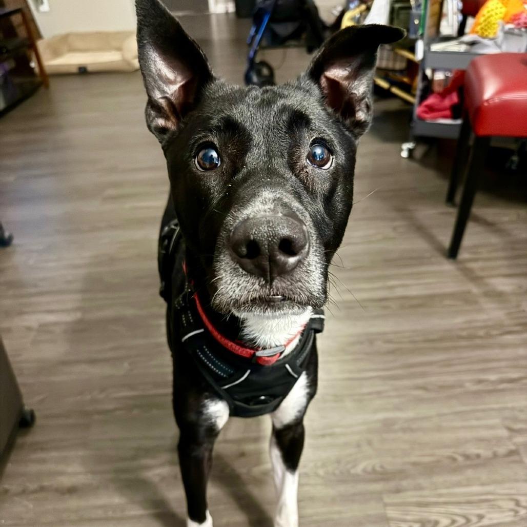 Zeus Hermes thumbnail 4