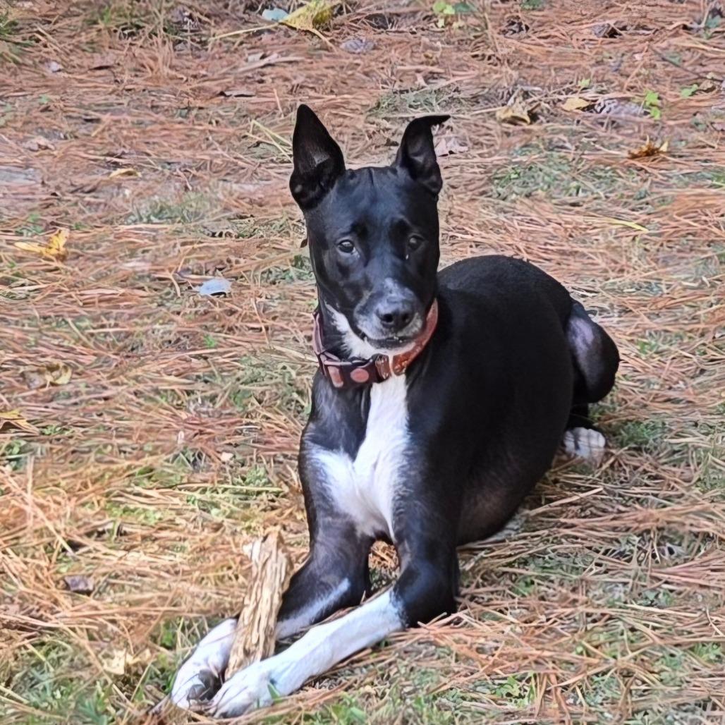 Zeus Hermes thumbnail 5