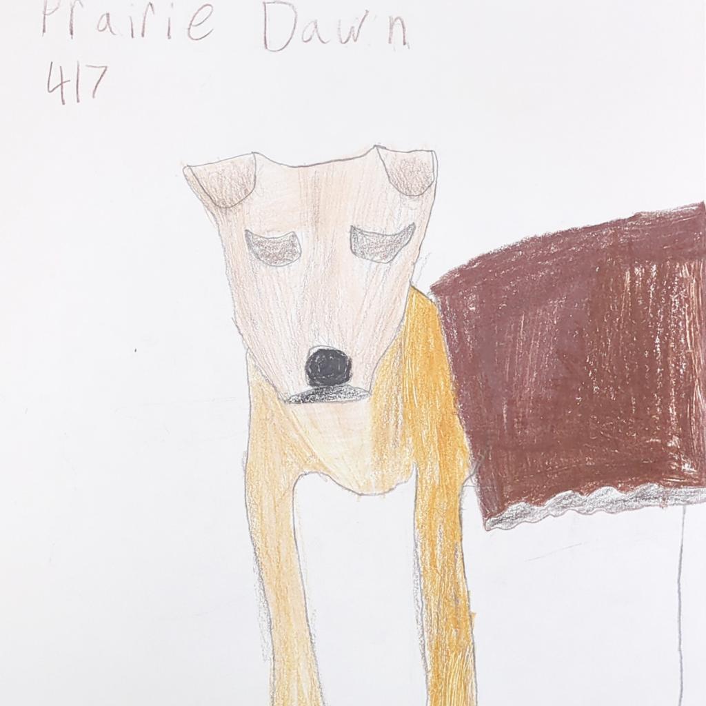 Prairie Dawn, a Adoptable mixed breed in Long Beach, CA image 5/5