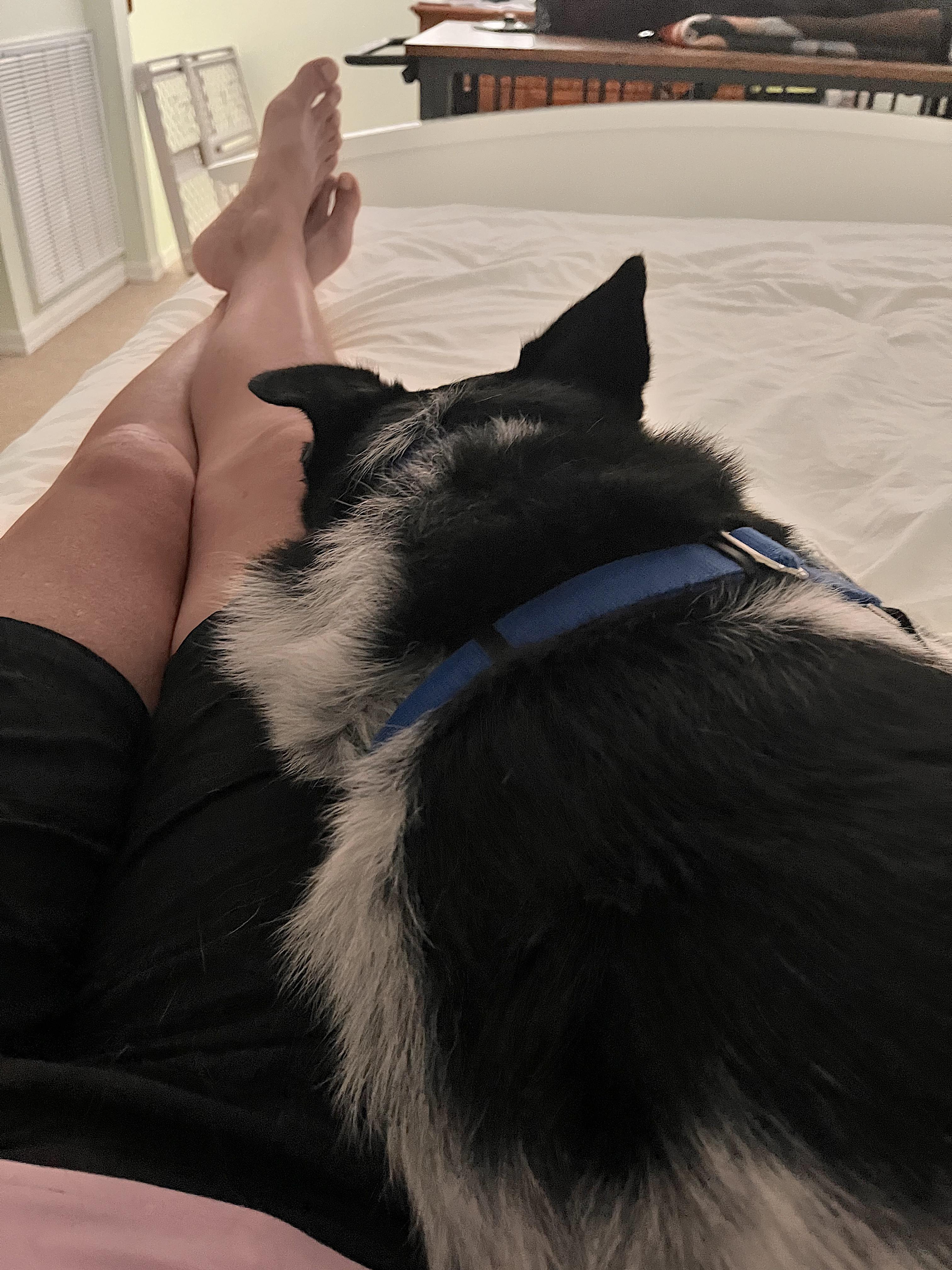 Buddy photo 5