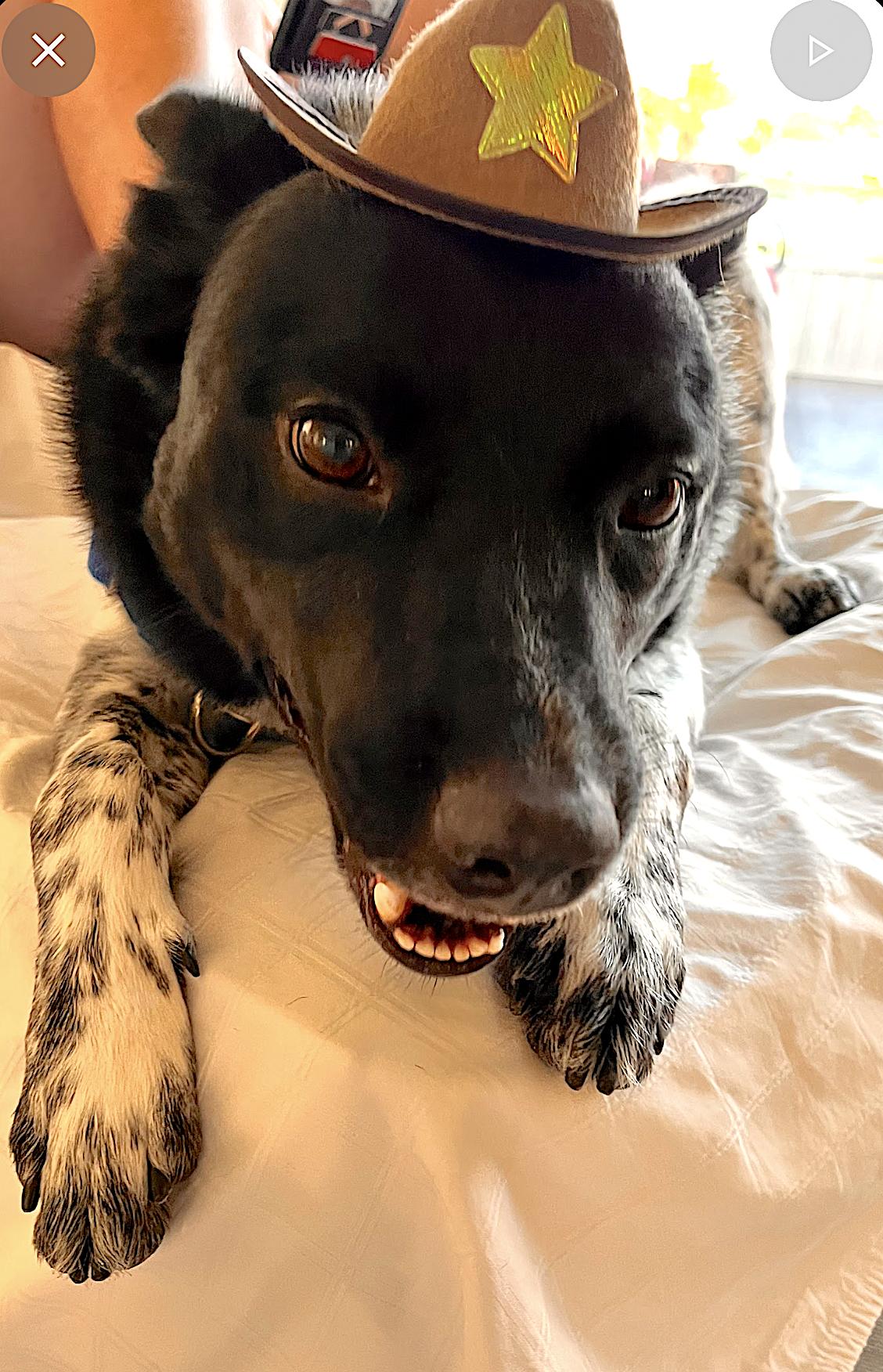 Buddy photo 3