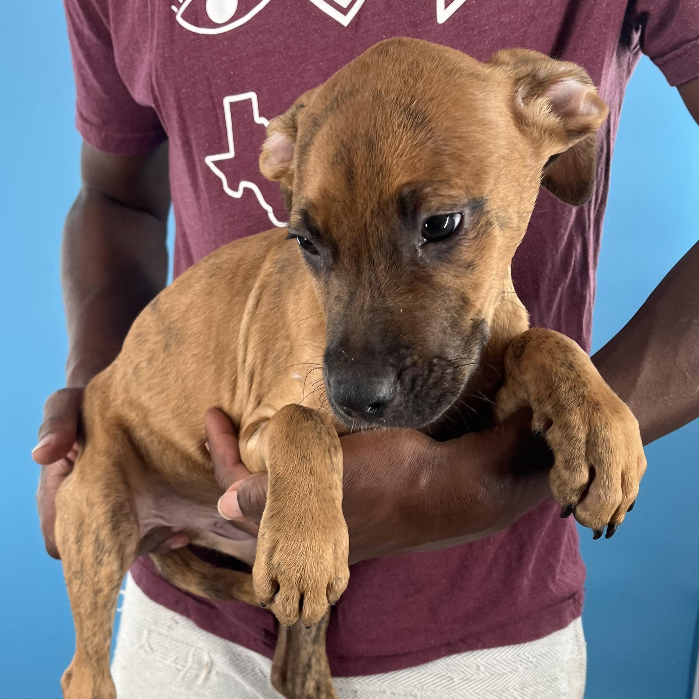 Chadwick - Local Sept 26-28