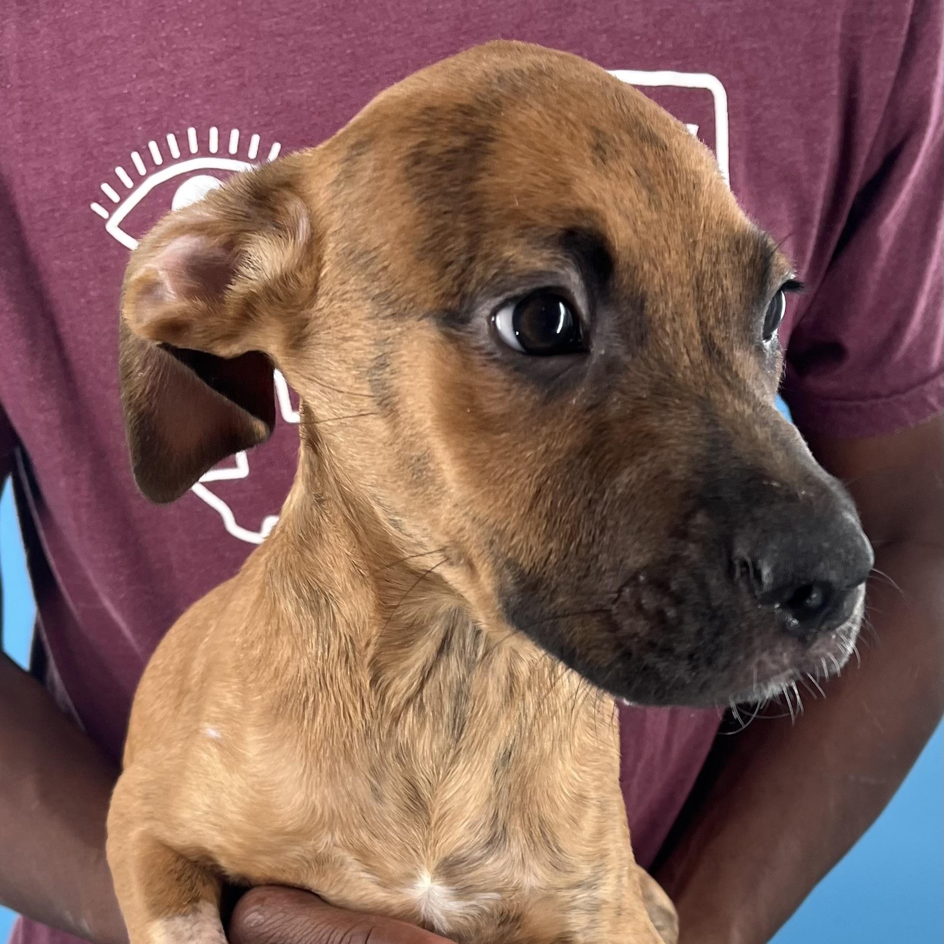 Chadwick - Local Sept 26-28