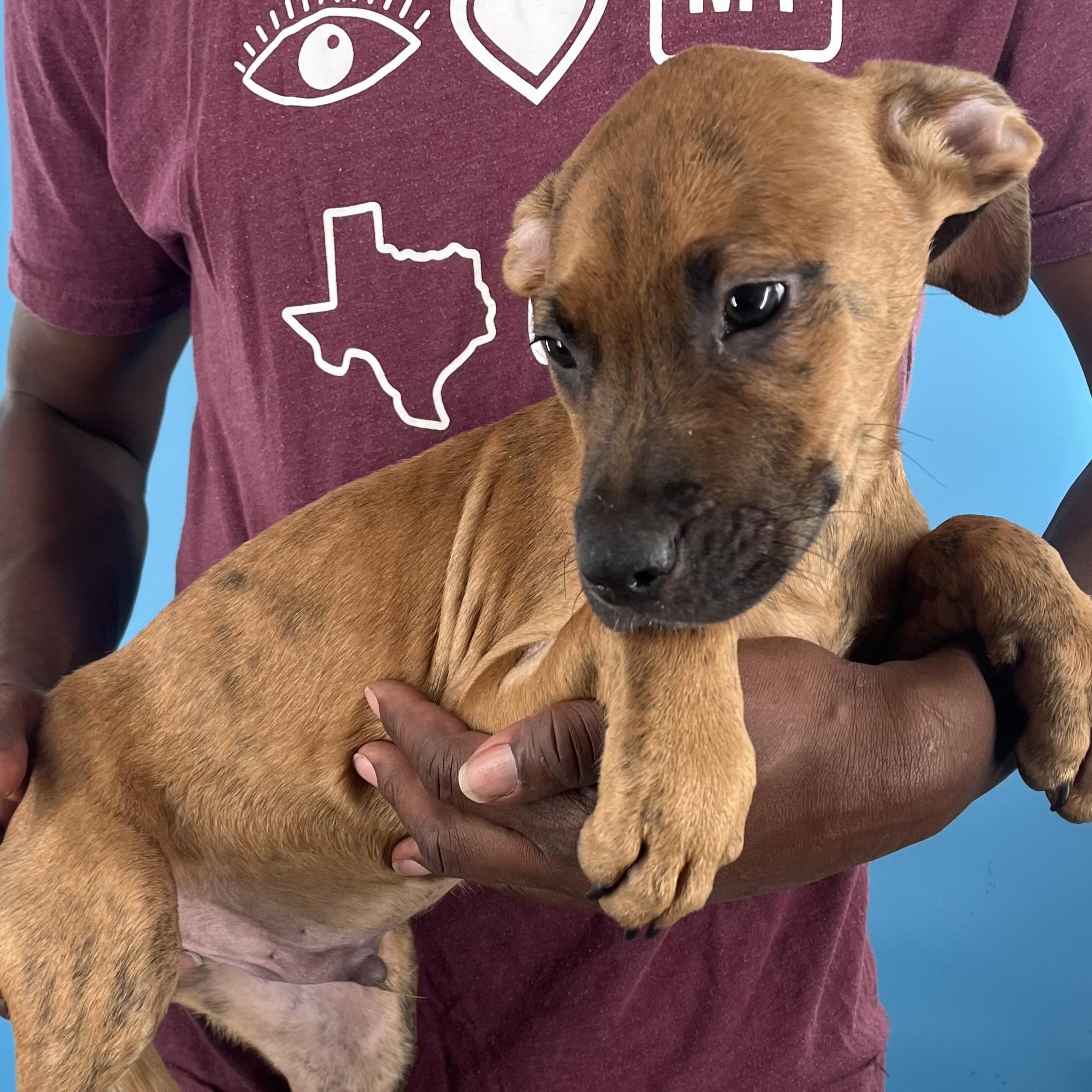 Chadwick - Local Sept 26-28