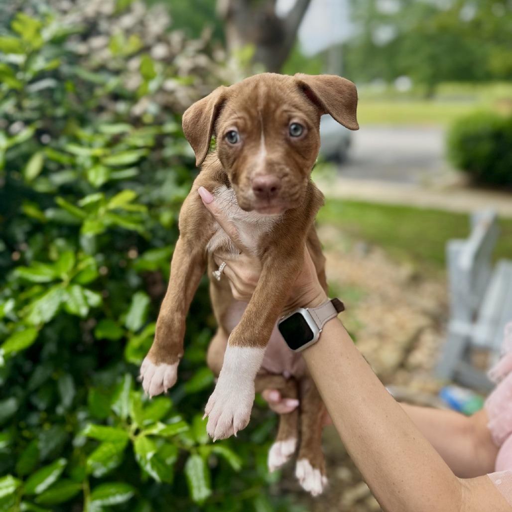 Sarah Jessica Barker