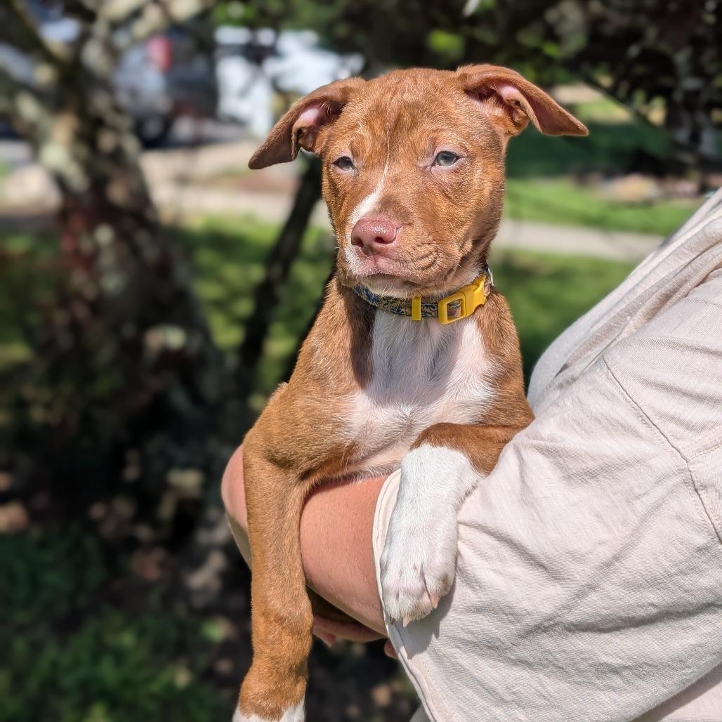 Sarah Jessica Barker thumbnail 2