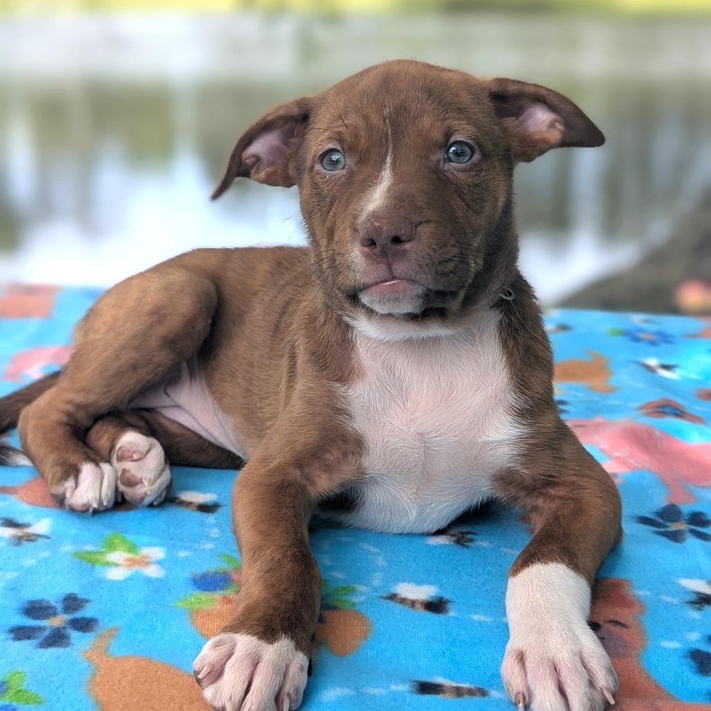 Sarah Jessica Barker thumbnail 4