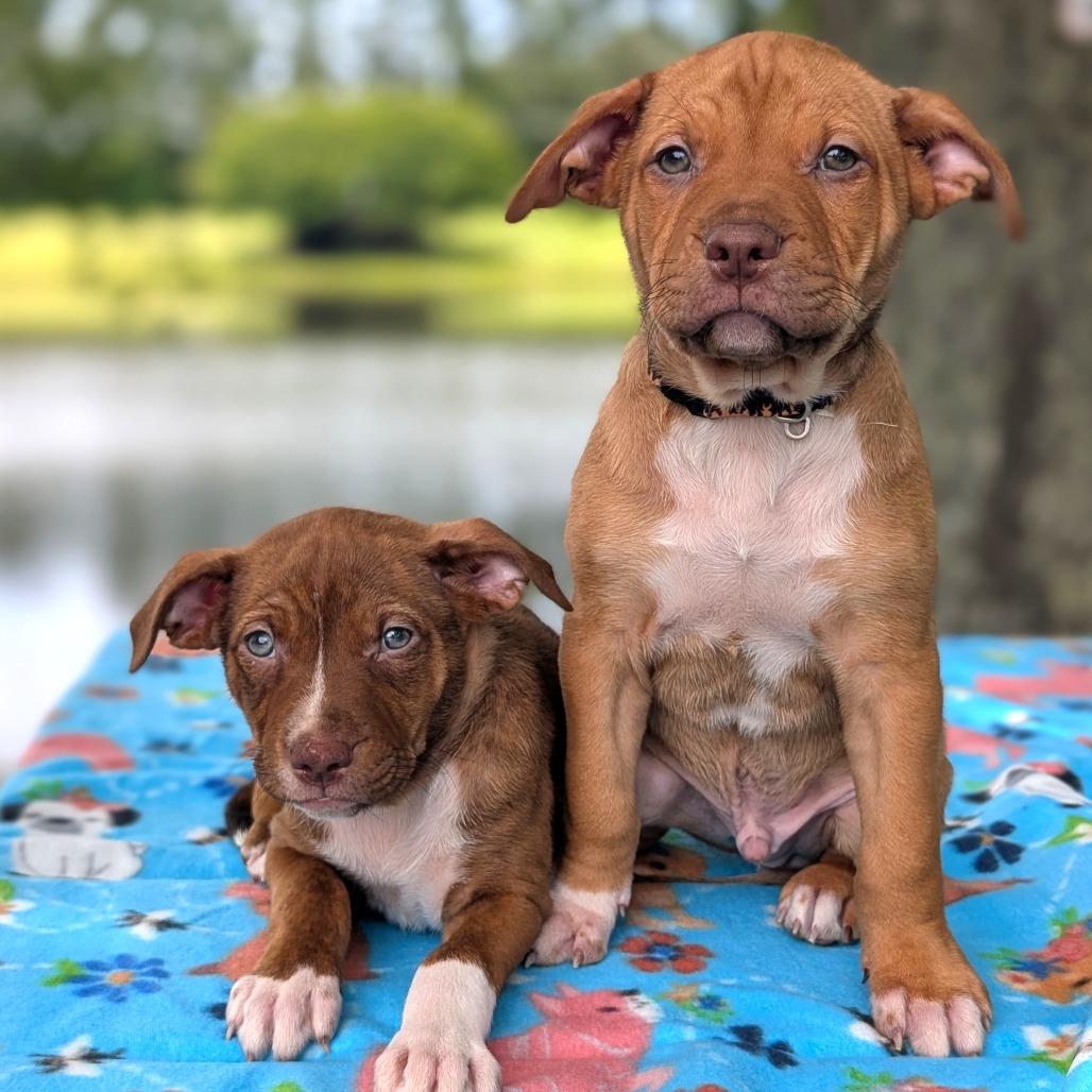 Sarah Jessica Barker thumbnail 5