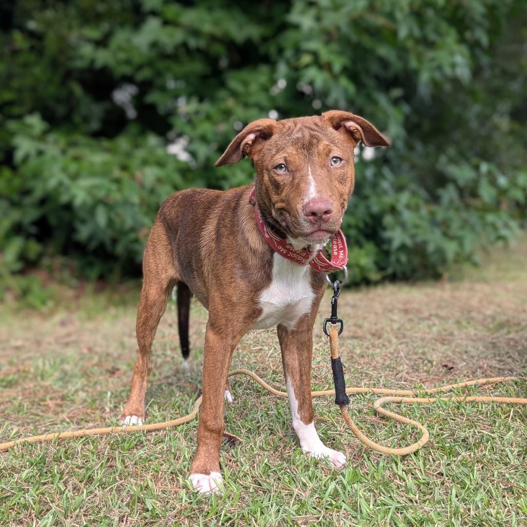 Sarah Jessica Barker thumbnail 6