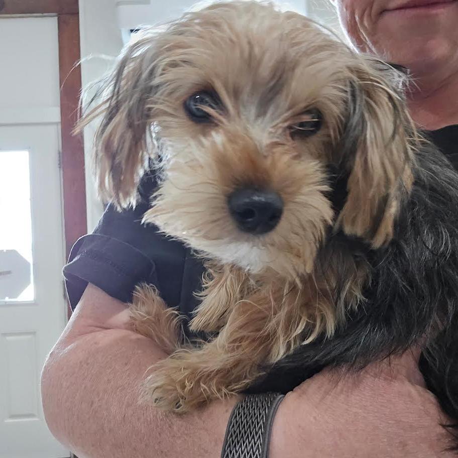 Tucker — thumbnail 5