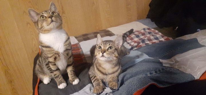 Skittles and Pixie photo 1