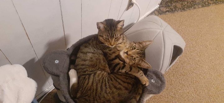 Skittles and Pixie photo 2