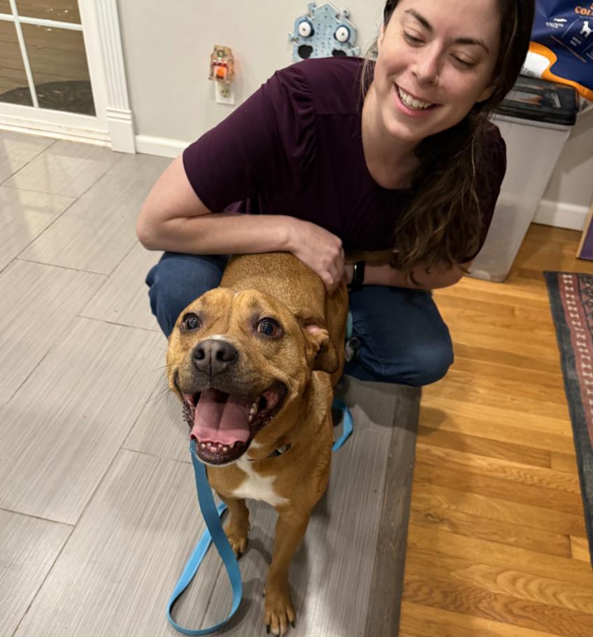 Billy Bob - Adoption Pending, an adopted Mixed Breed in Nashville, TN image 4/4