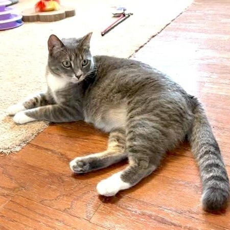 Sunshine Simpson — thumbnail 5