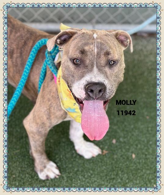 MOLLY