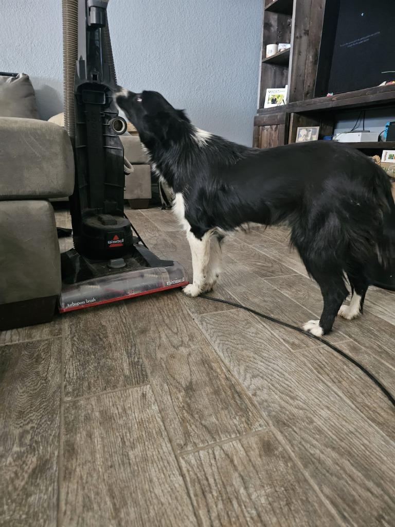 Blaire (OK) — thumbnail 3