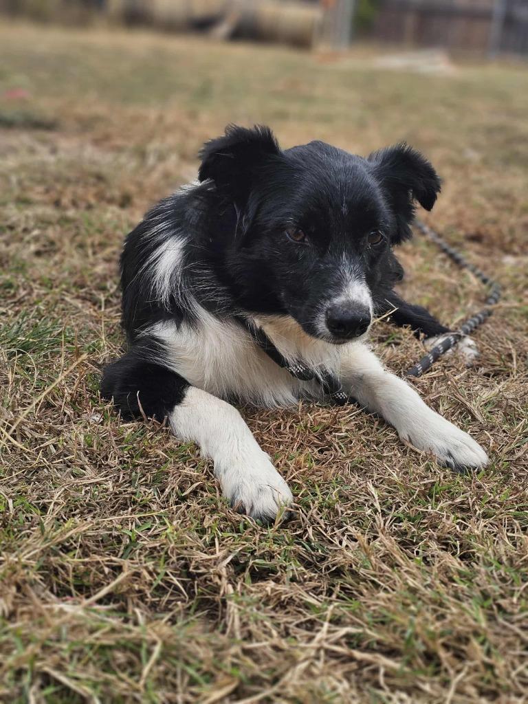 Blaire (OK) — thumbnail 4