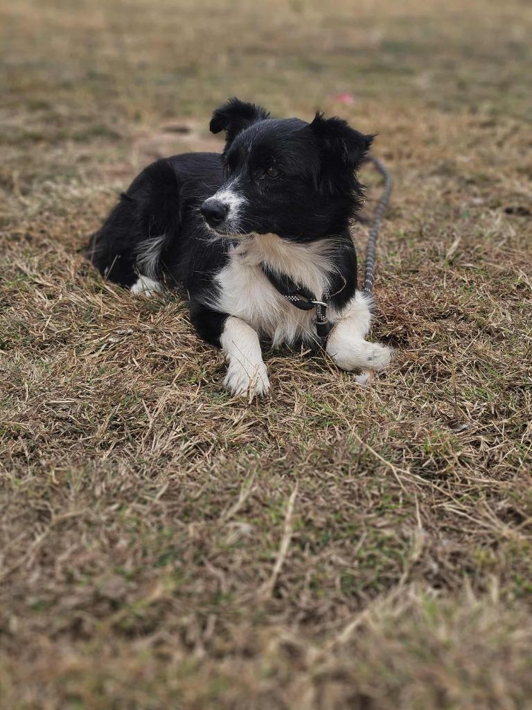 Blaire (OK) — thumbnail 5