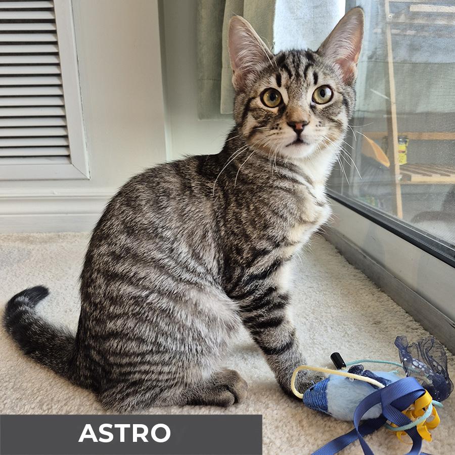 Astro