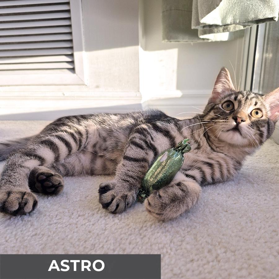 Astro