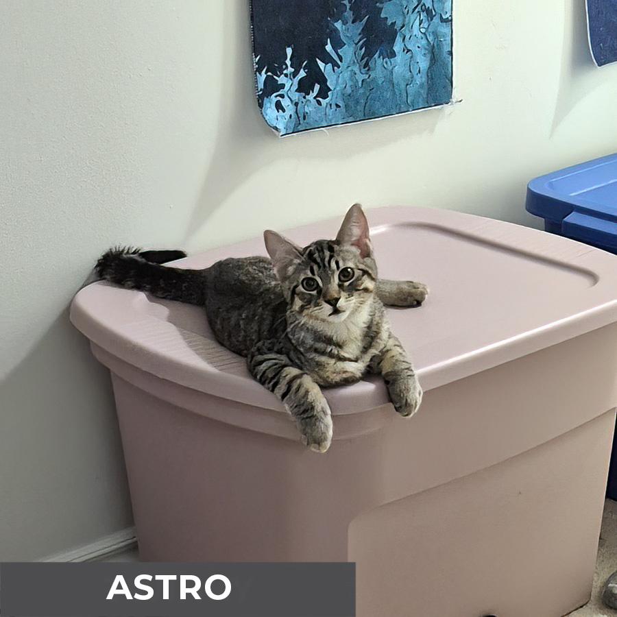 Astro