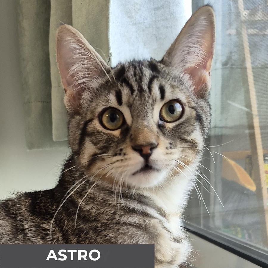 Astro