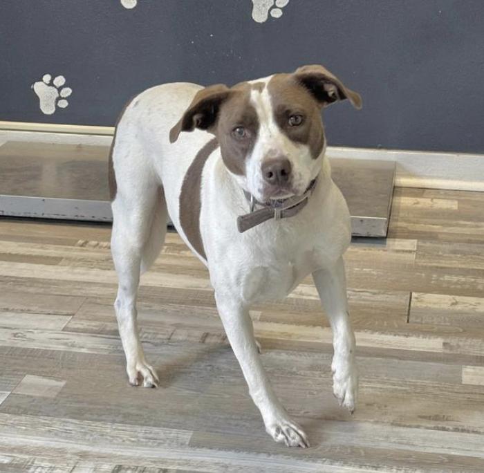 Isabella — thumbnail 2