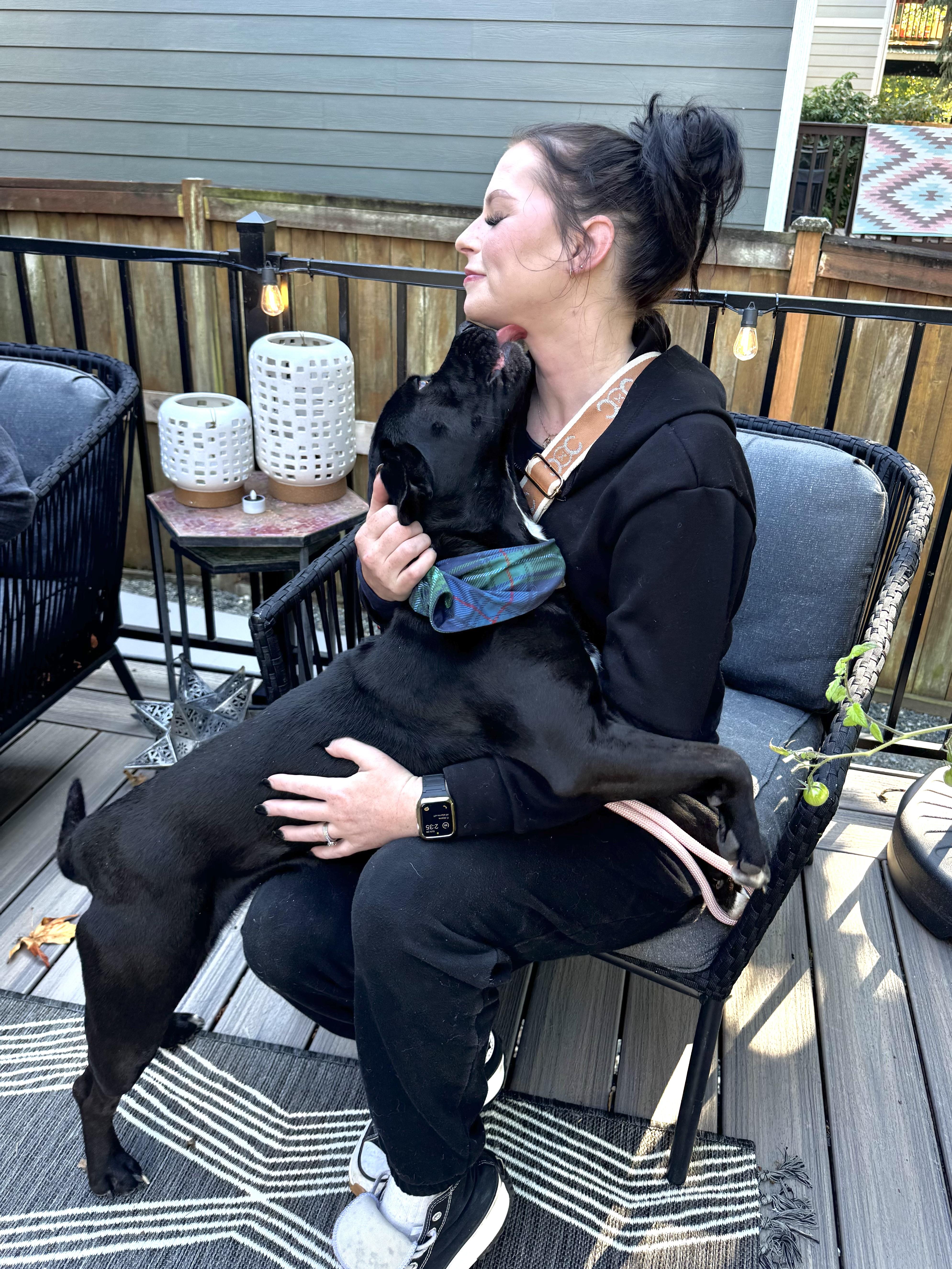Enlarge Luna, a Adoptable mixed breed in Portland, OR image 2/6