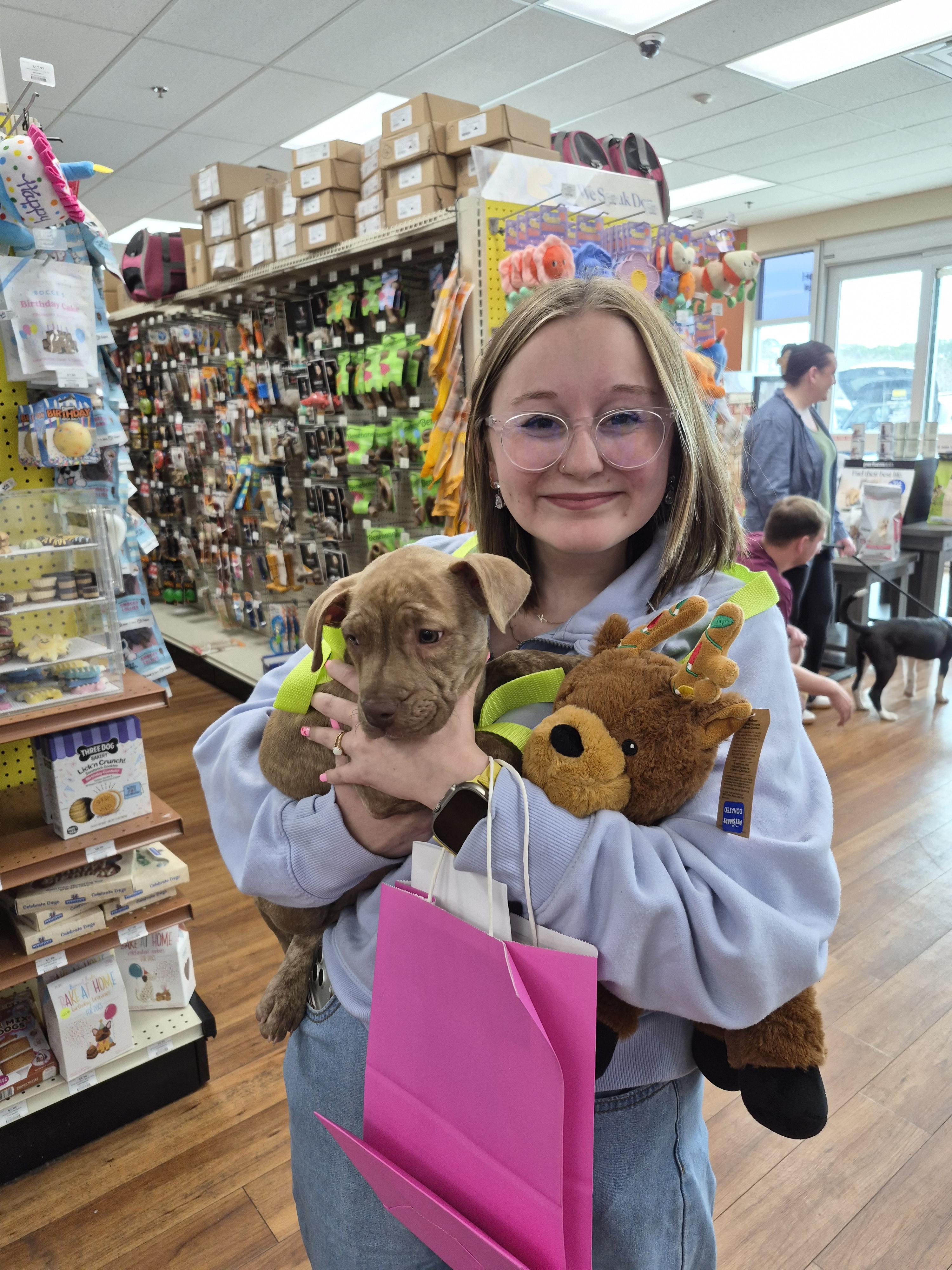 Avi, a Adopted mixed breed in Panama City, FL image 1/3
