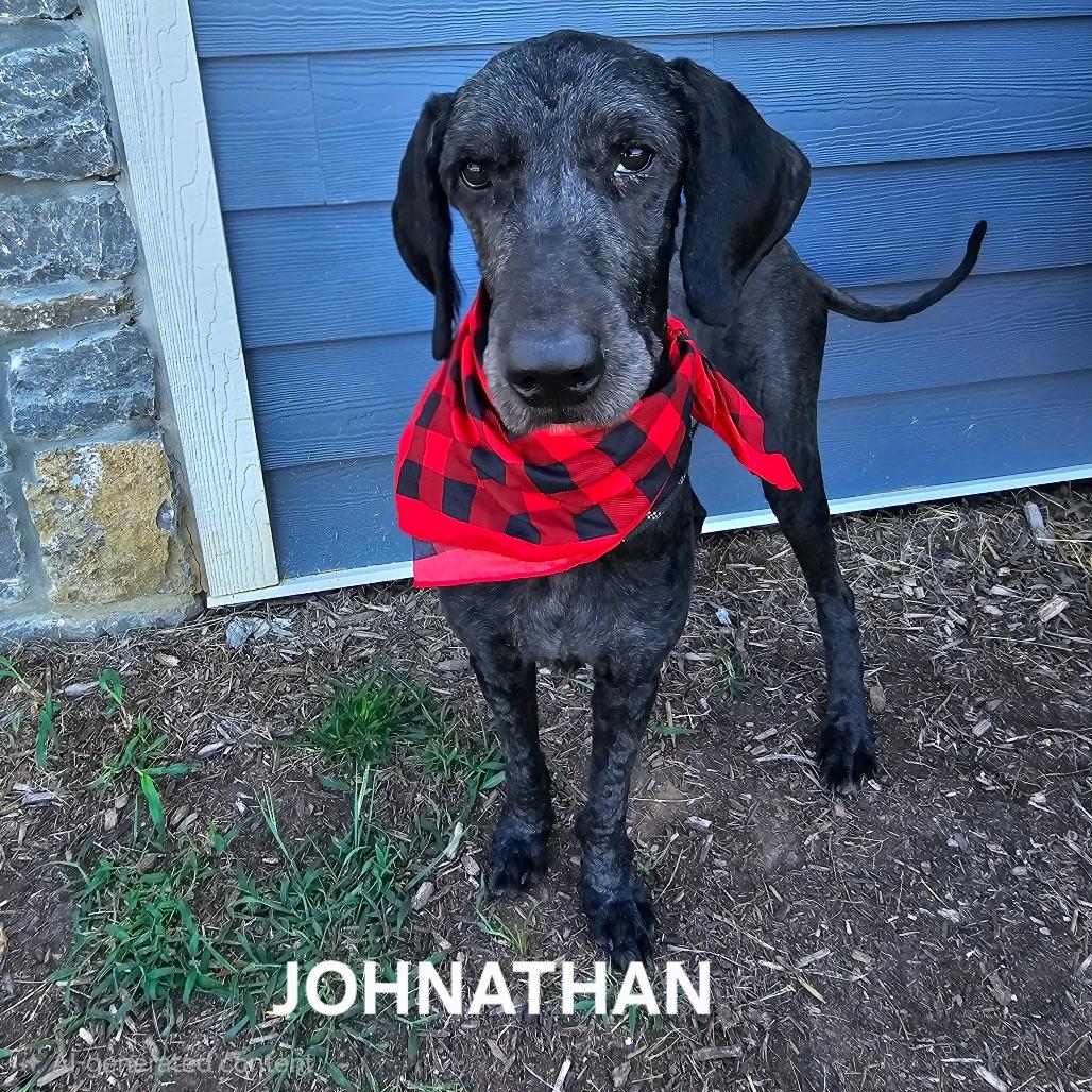 Enlarge Johnathan, a Adoptable mixed breed in Madisonville, TN image 3/5