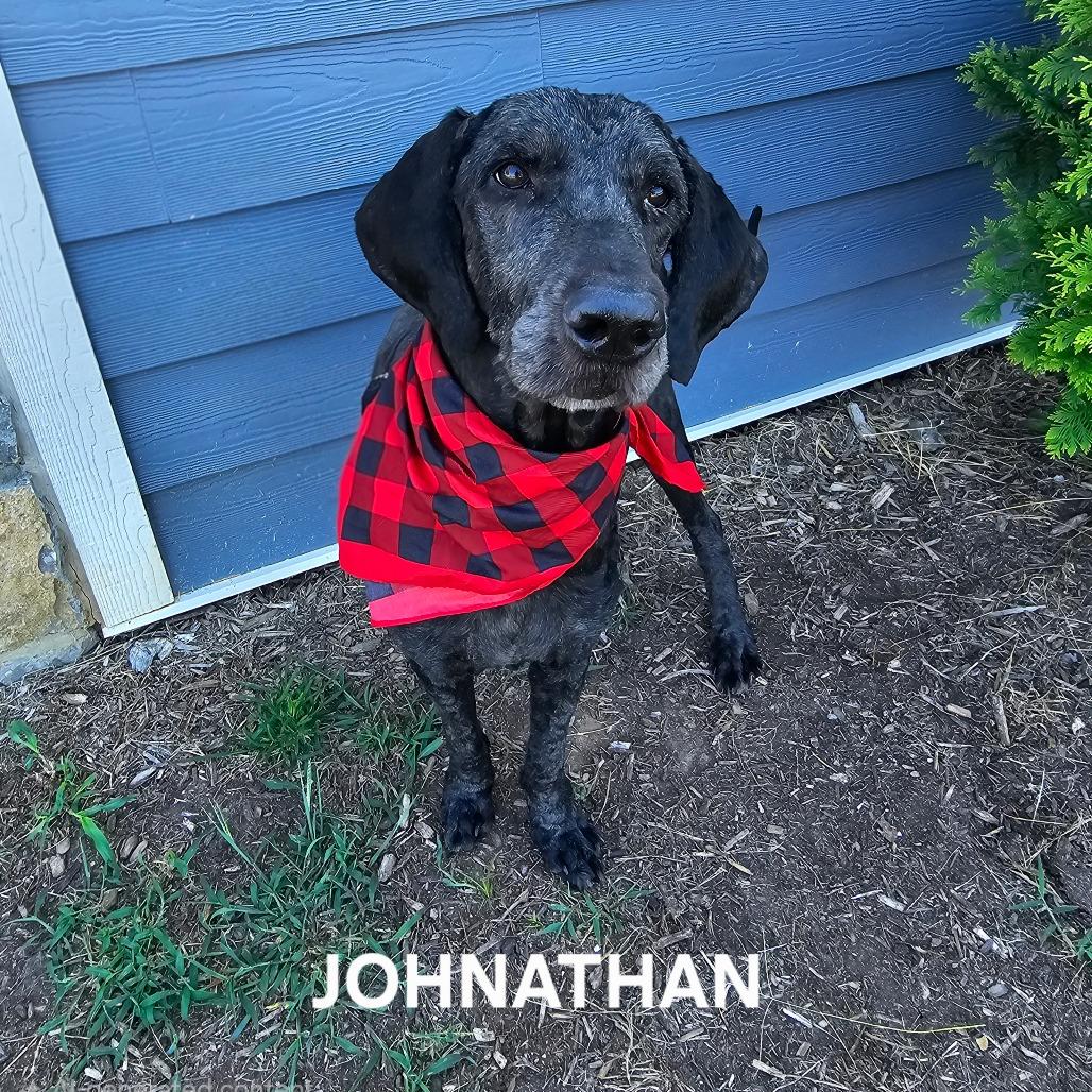 Enlarge Johnathan, a Adoptable mixed breed in Madisonville, TN image 4/5